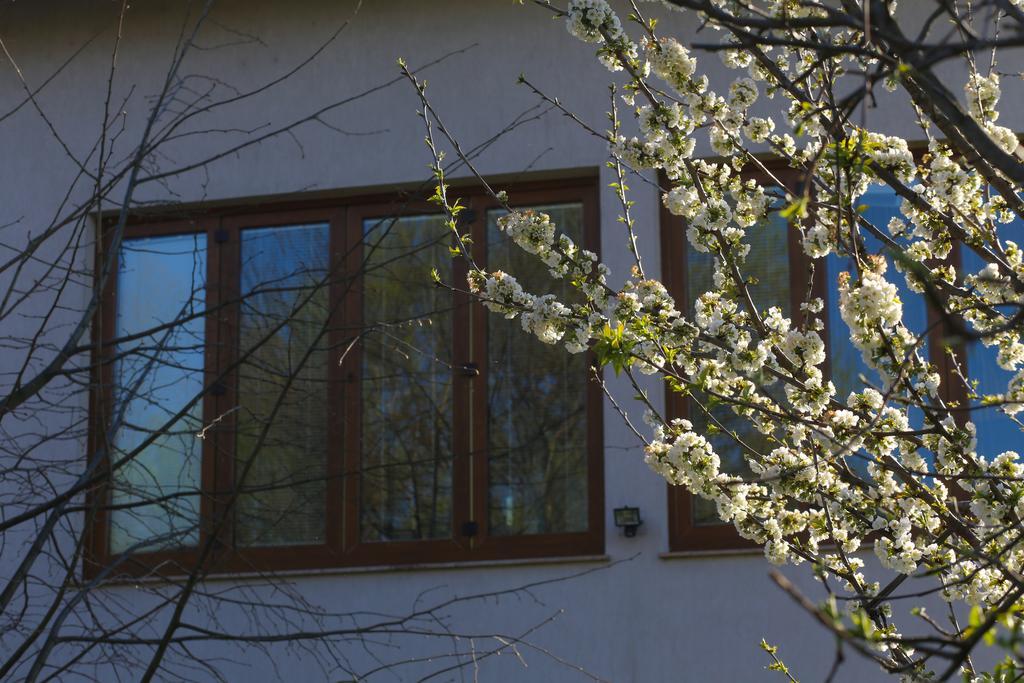 Farah Superior Apartments Bihać 外观 照片